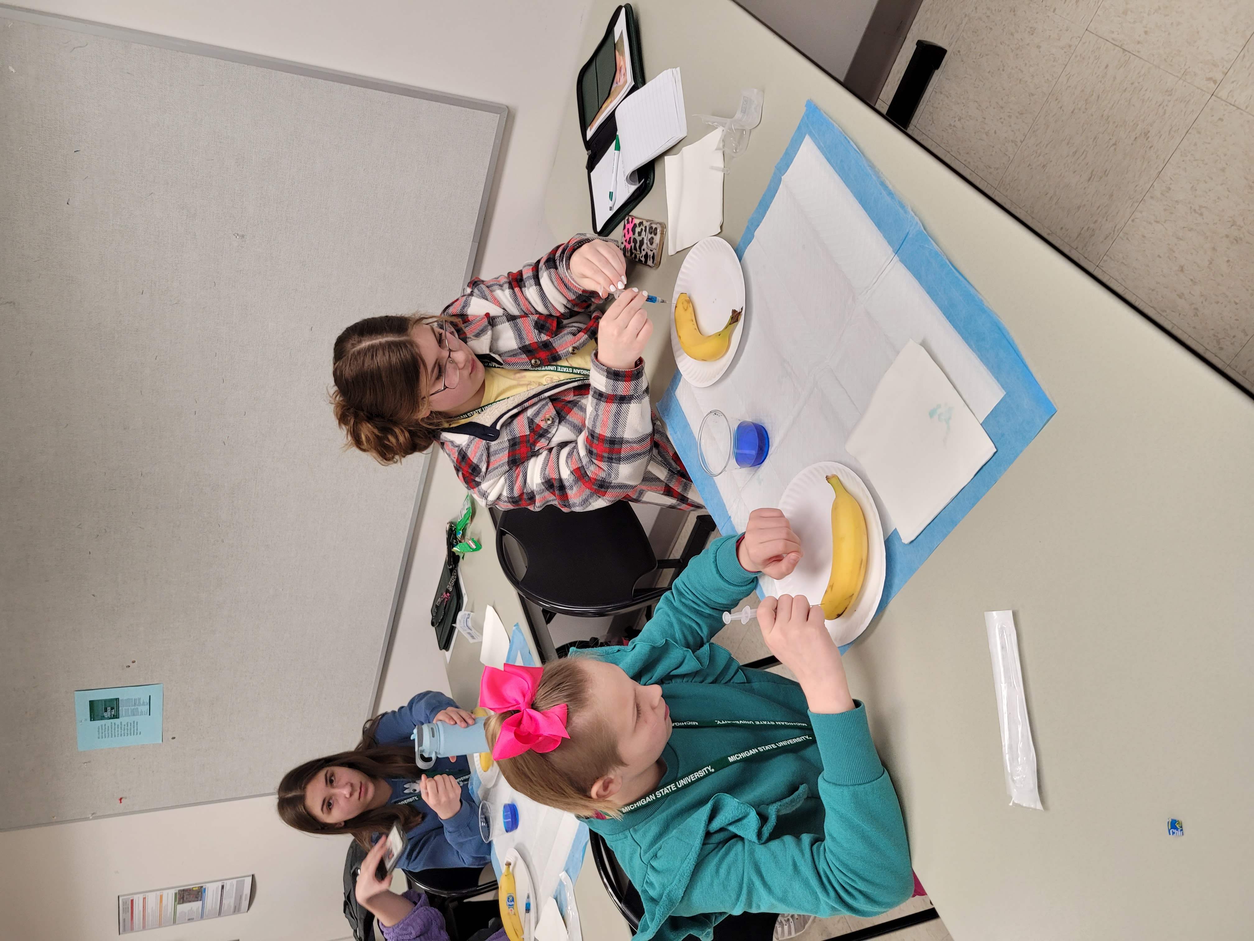 Youth participants learn about proper injection techniques. They practice on bananas with colored water to see their success or how to improve.