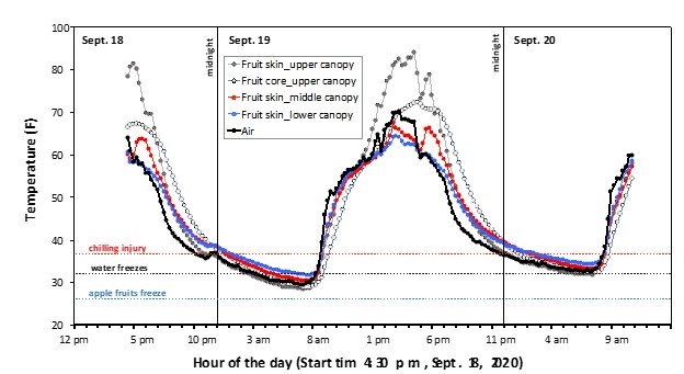 Graph of Honeycrisp fruit and air temperatures