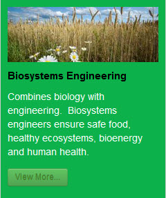Image of and link to MSU Engineering What do Engineers do. Image of and link to MSU Engineering What do Engineers do.