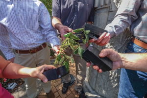 A social network for plant science