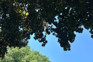 New Faces in the Department Summer 2025