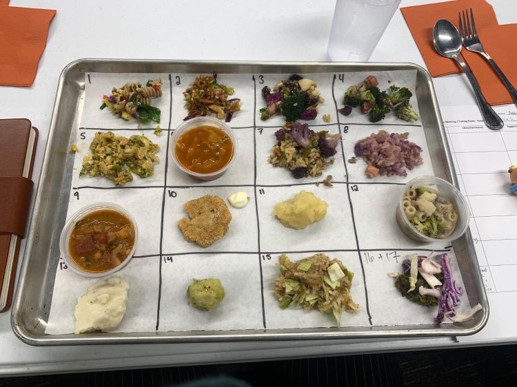 A photo of different kinds of food placed onto a grid for taste testing.