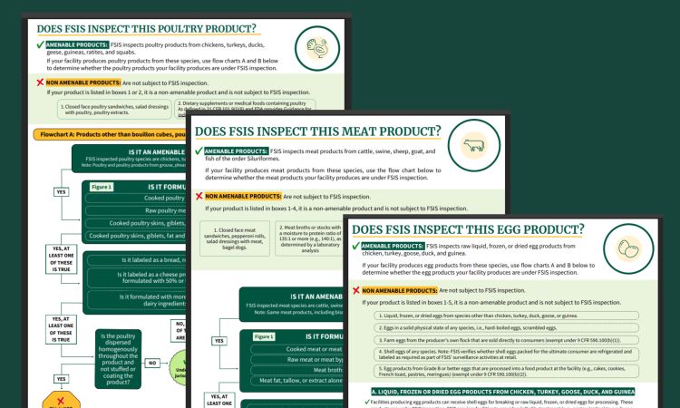 Screenshot of the three FSIS infographics related to whether a company's meat, poultry, or egg products are under FSIS jurisdiction
