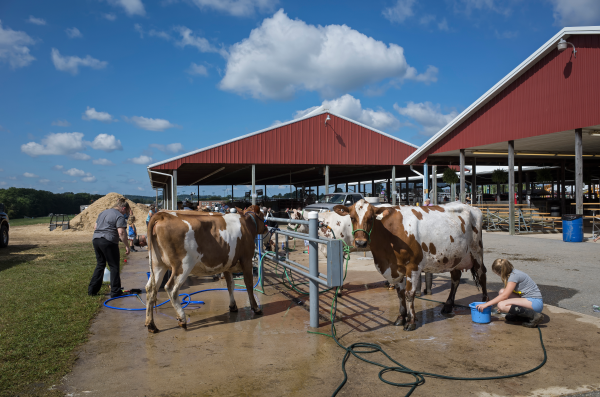 A photo of the first page of the resource.