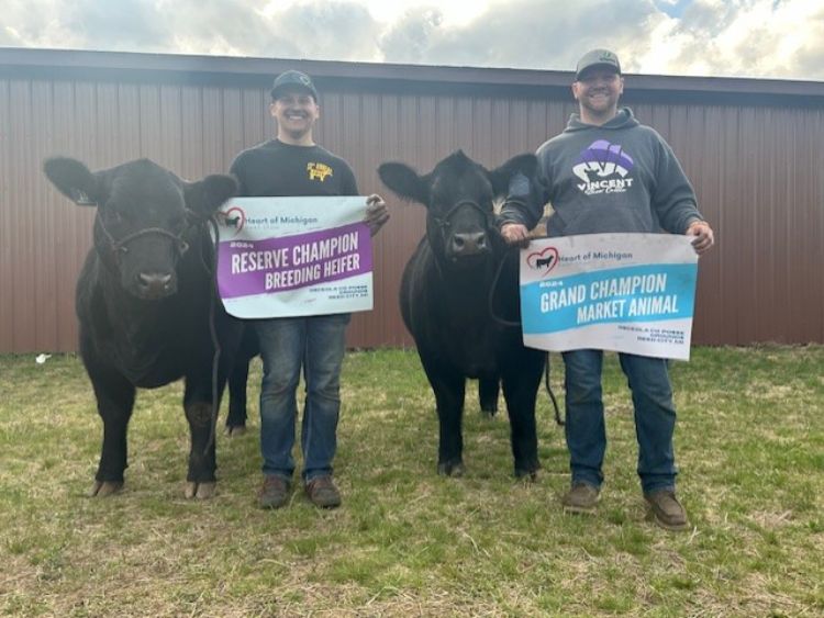 Two men holding up banners next to two black calves.