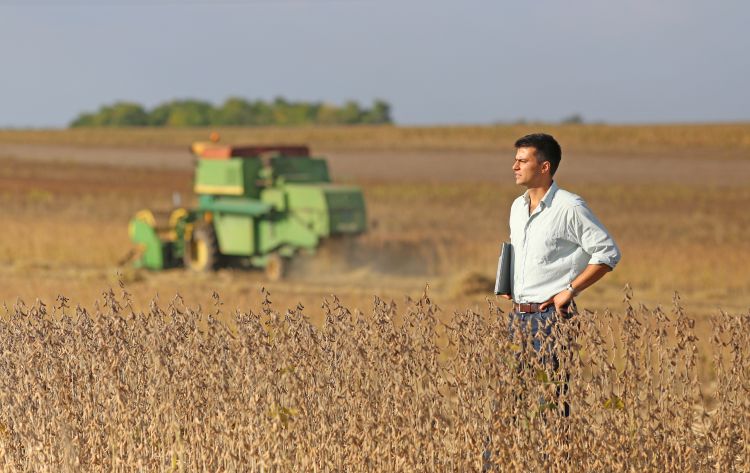 man looking at horizon standing in a soybean field