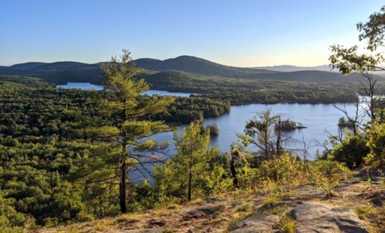 A photo of a forest during the day with a two lakes separated by trees with a mountain in the background.