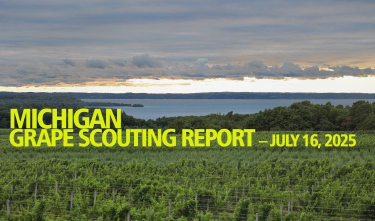 For decorative purposes.