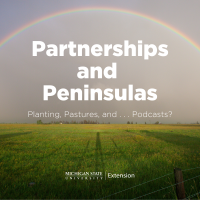 Image of Partnerships and Peninsulas title over a photo of a rainbow over a field.