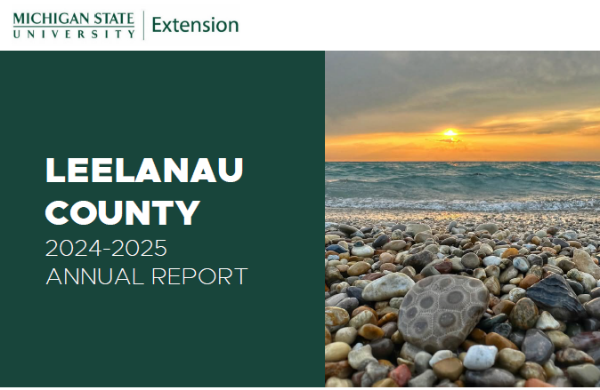 Leelanau County 2024-2025 Annual Report with a photo of a rocky Lake Michigan shoreline at sunset