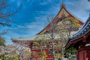 LandTexture: Education Abroad - MSU LA in Japan