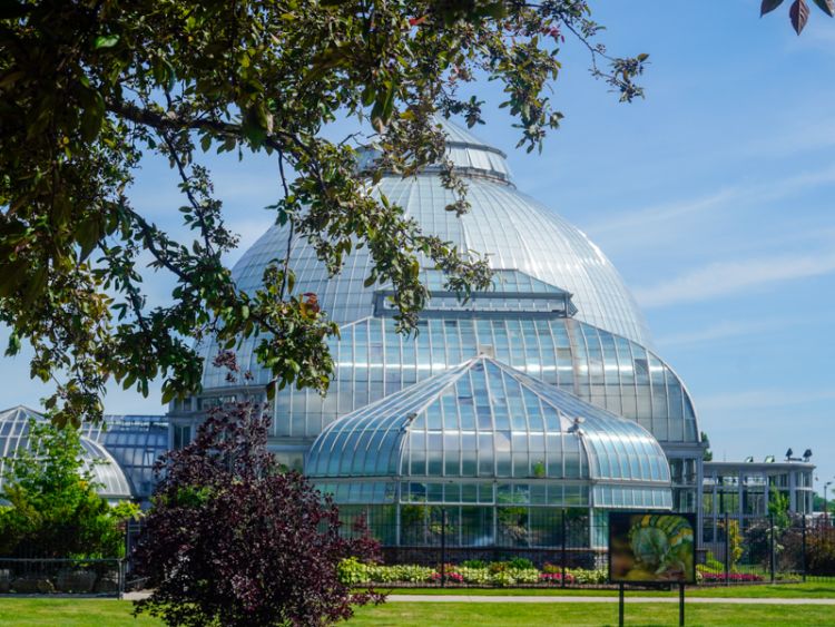 Anna Scripps Whitcomb Conservatory in the daylight by Chelsea Dickens