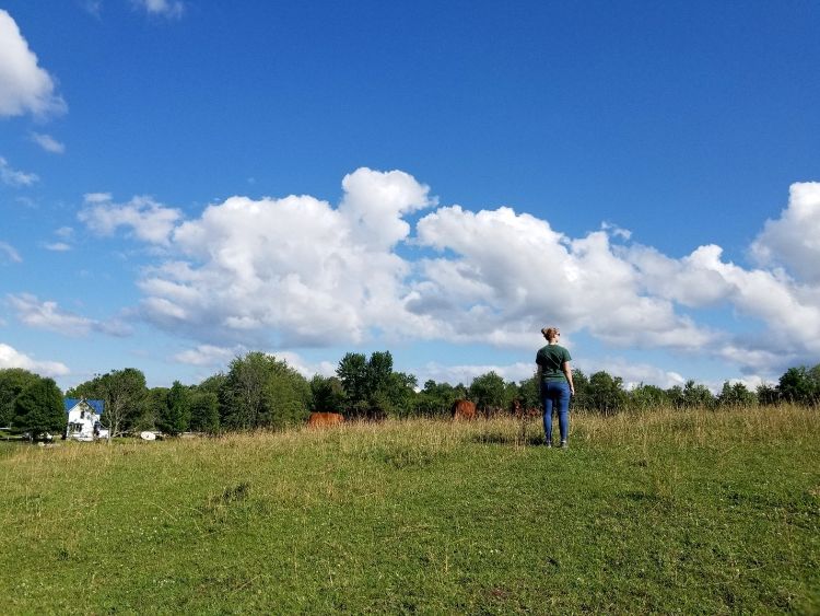 A farmer in a field.