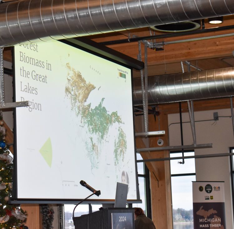 Randi Dodgson presenting at the 2024 Michigan Mass Timber Update. A screen projector, with windows in the background of the conference room, is displaying her video presentation.