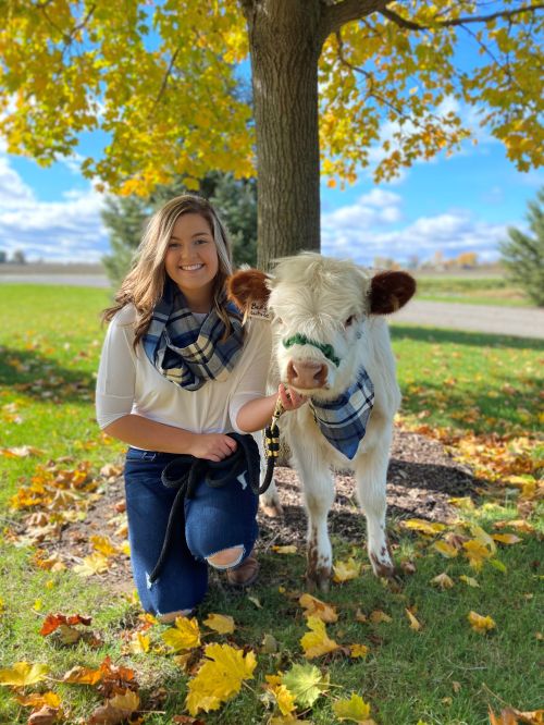 A young lady in blue jeans, white top and green plaid scarf with a small white cow wearing a matching green scarf.