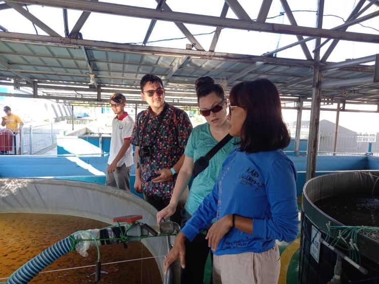 Three people stand in an aquaculture facility in Indonesia.