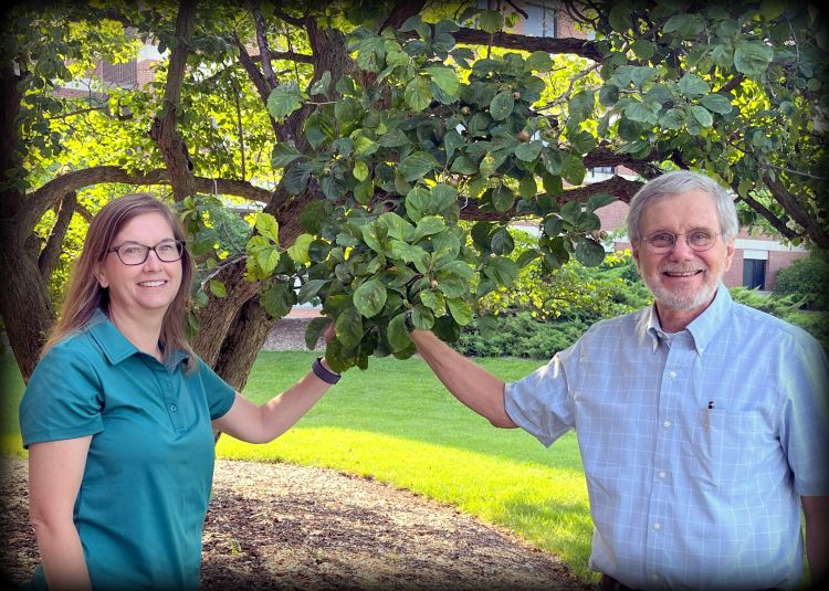 Two people on either side of a tree branch.