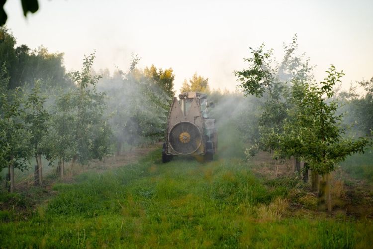 A pesticide applicator applies pesticides in a fruit orchard.
