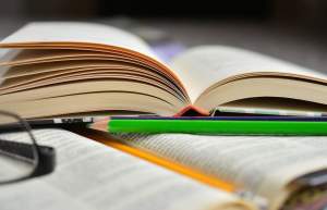 What is a university?