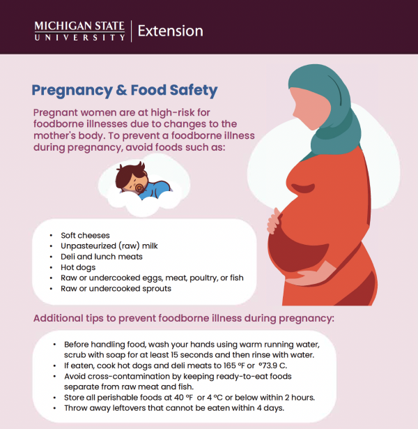 A screenshot of the pregnancy and food safety document.