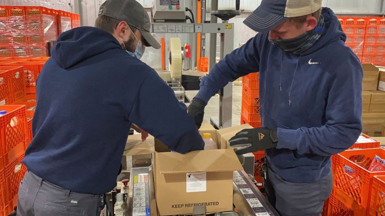 Packing line crew men