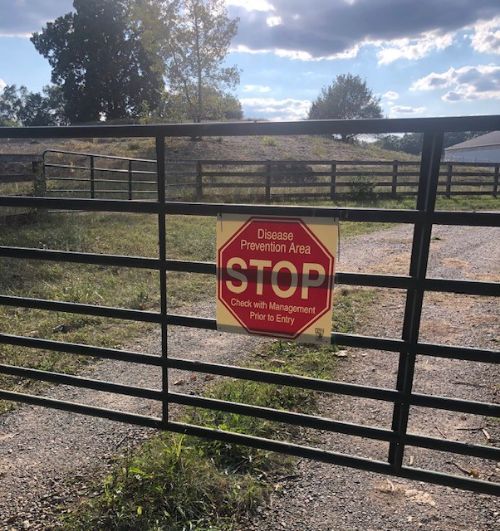 red stop sign hanging on a brown fence