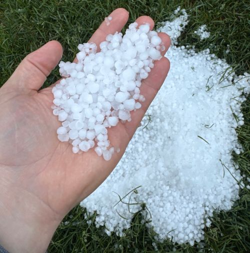 A handful of small hail.