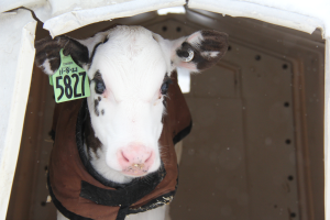 2022 Dairy Program Booklet