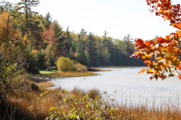 For decorative purposes.