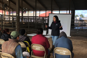 Learn more about the 2025 MSU Extension Dairy programs