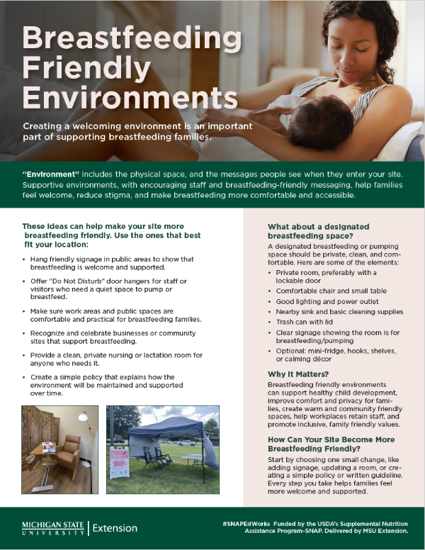 Breastfeeding Friendly Environments Change Guide