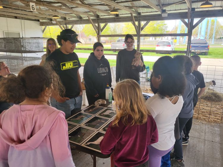 Older teens teaching a group of younger teens in 4-H.