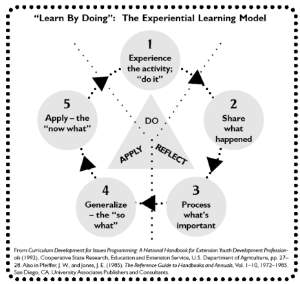 4-H Guiding Principles: Youth are considered participants rather than recipients in the learning process