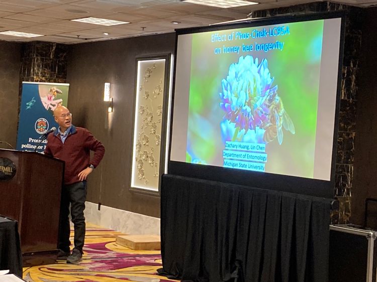 Zachary Huang looks at a presentation projected on a screen.