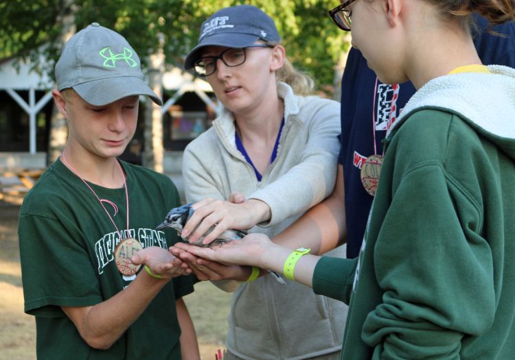 Campers experience science techniques used to sample and study for birds using mist nets with Michigan State University researchers. Photo: Cindy Hudson | Michigan Sea Grant