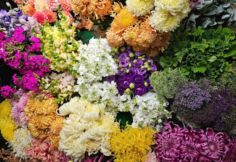 A closeup of different colored specialty cut flowers.