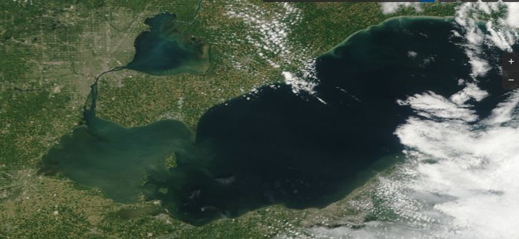 An aerial view of the algal blooms in Lake Erie.