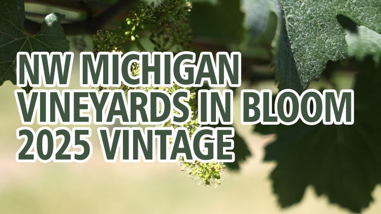 For decorative purposes.