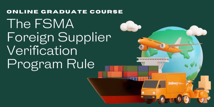 Illustrated image of world, airplane, cargo ship, van, moped. Text reads 