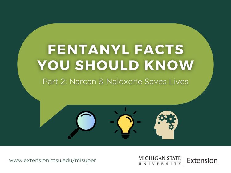 A decorative graphic that says 