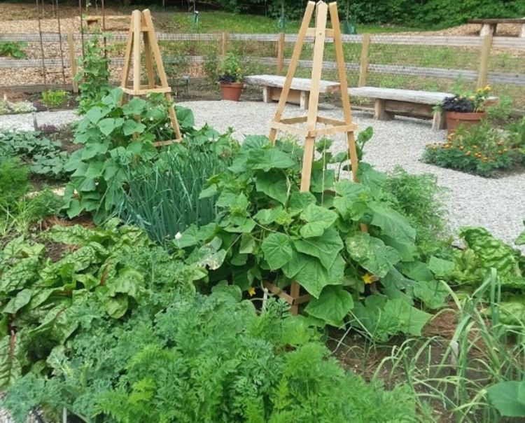two wooden towers with green garden plants growing on them