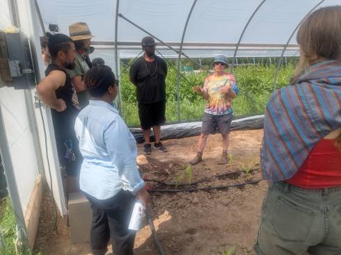 People learning during a farm tour in a high tunnel.