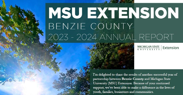 Front cover of the benzie county annual report featuring a blue sunny sky and green trees