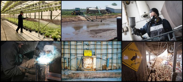 Collage of six farm-related images showing potential respiratory hazards: a worker spraying plants in a greenhouse, liquid manure being pumped by a tractor, a person spray-painting while wearing a respirator, a welder at work, a warning sign on a confined space entry, and a crowded poultry barn with a “Chickens at Work” sign.