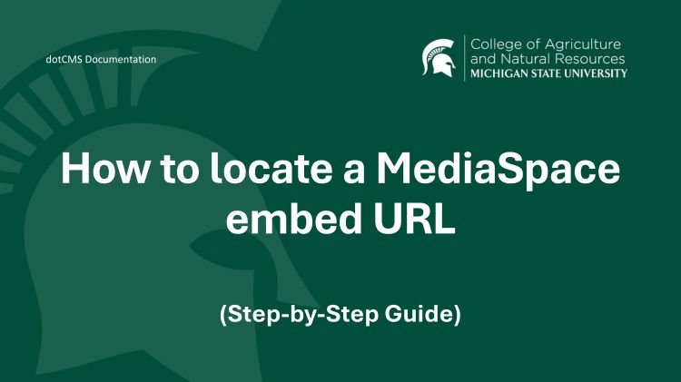 MediaSpace share screen in browser.