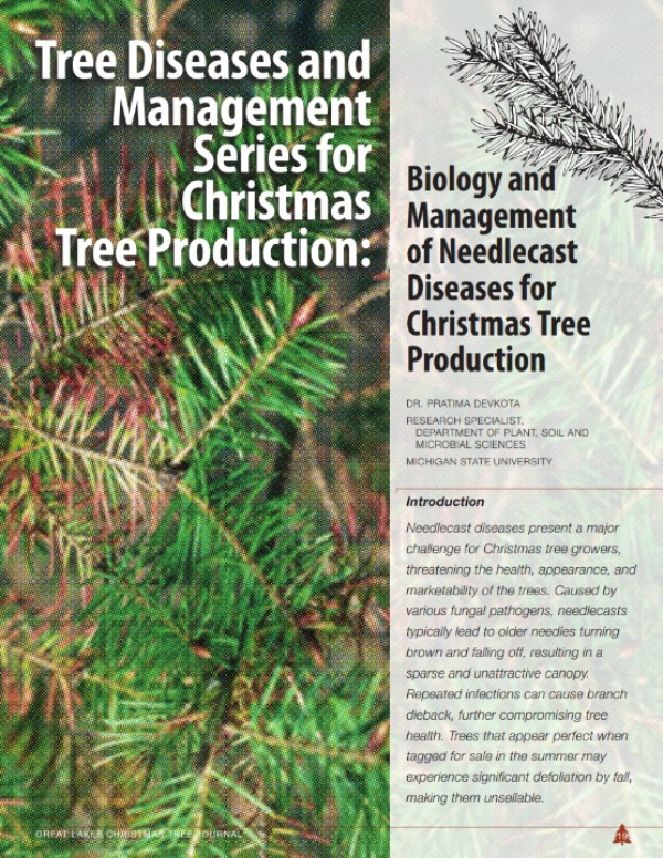 A photo of the first page of the resource.