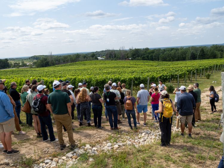 A group of people stand at the edge of a Michigan vineyard listening to someone give a presentation.