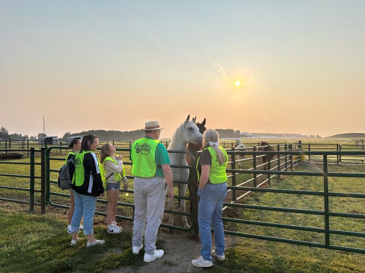 people in bright green vests stand in front of a fence near a horse