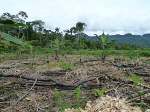 2017 FCWG Learning Session #3: Selected Speakers from the FCWG Annual Meeting, September 27th