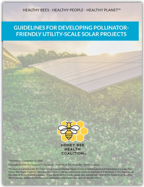 Cover of the Honey Bee Health Coalition’s Guidelines for Developing Pollinator-Friendly Utility-Scale Solar Projects.